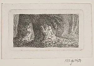 Skovinteriør