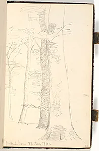 Skovinteriør by P.C. Skovgaard