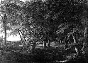 Skovparti i karakter af det sydlige Sverige by Carl Johan Fahlkrantz