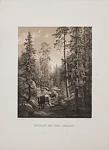 Skovparti med Kvæg i Småland by Adolph Kittendorff
