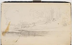 Skovsø. På bredden ses stammerne af store træer by P.C. Skovgaard
