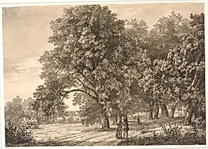 Skovvej. Prospekt ved Sorø by J.C. Dahl