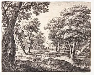 Skovvej by Anthonie Waterloo