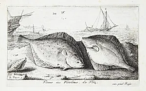 Skrubben (Flesius siue Fletelus) by Albert Flamen