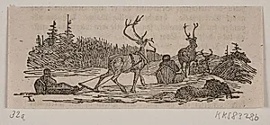 Slædekørsel med rensdyr by H.C. Henneberg