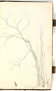 Slanke træer i en gruppe by P.C. Skovgaard