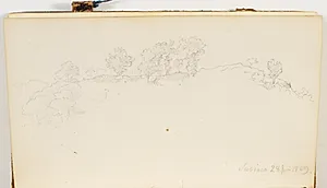 Små træer der vokser på klippegrund by P.C. Skovgaard