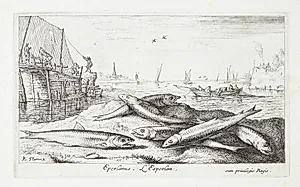 Smelten (Eperlanus) by Albert Flamen
