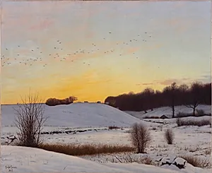 Snelandskab med en bakke. Solnedgang.