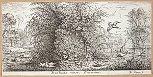 Sneppen (Rusticula minor) by Albert Flamen
