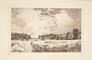 Solglimt over en bølgende kornmark by Louise Ravn-Hansen