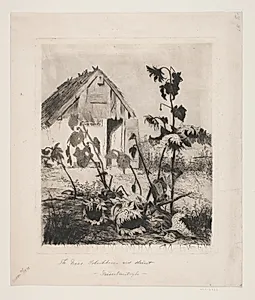 Solsikkerne ved huset
