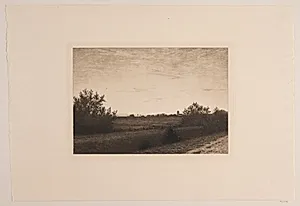 Sommeraften ved Rødovre