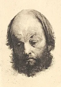 Sortskægget mand, Garibaldi by Frans Schwartz