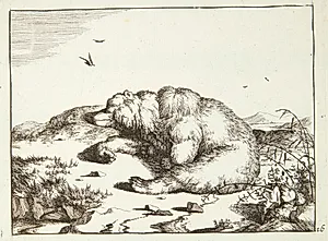 Sovende bjørn by Marcus de Bye