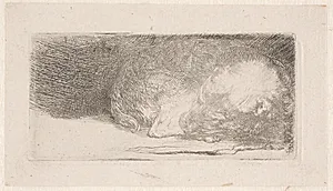 Sovende hundehvalp (lille plade) by Rembrandt van Rijn