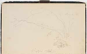 Spinkle grene og løv by P.C. Skovgaard