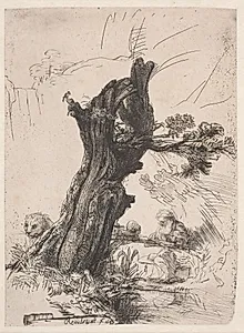 St. Hieronymus ved et stynet piletræ by Rembrandt van Rijn