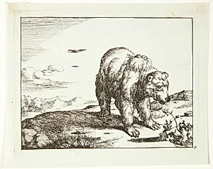 Stående bjørn i nærheden af en plante by Marcus de Bye