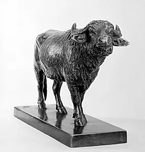 Stående bøffel