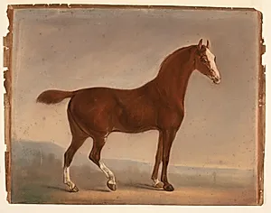 Stående brun hest by Ubekendt