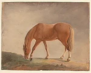 Stående brun hest by Ubekendt