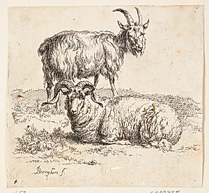 Stående ged og en liggende vædder by Nicolaes Berchem