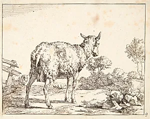 Stående gimmer, set bagfra by Marcus de Bye