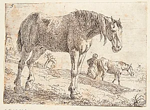 Stående hest, i baggrunden en bonde, der fører en hest væk by Jan van Aken