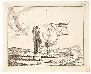 Stående ko, set bagfra by Marcus de Bye