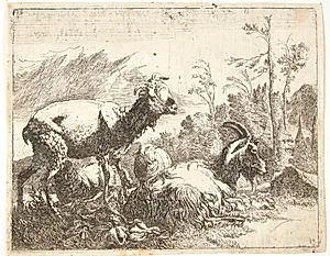 Stående og liggende får, i midten et får med klokke by Johann Heinrich Roos