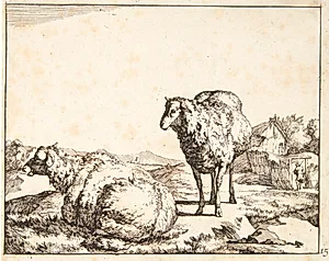 Stående og liggende får by Marcus de Bye