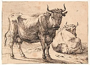 Stående og liggende ko by Paulus Potter