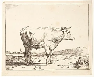 Stående stud mod højre by Marcus de Bye