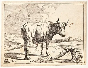 Stående stud by Marcus de Bye