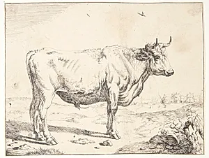 Stående stud by Marcus de Bye