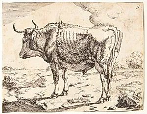Stående stud by Marcus de Bye