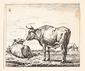 Stående tyr by Adriaen van de Velde