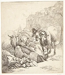 Stående vædder, liggende ged og to får by Johann Heinrich Roos