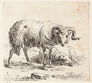 Stående vædder og et liggende får by Nicolaes Berchem