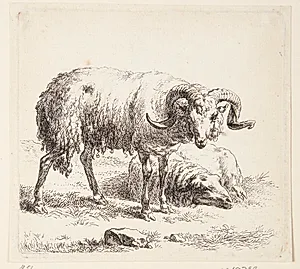 Stående vædder og et liggende får by Nicolaes Berchem
