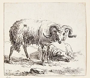 Stående vædder og et liggende får by Nicolaes Berchem