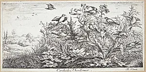Stillidsen (Carduëlis) by Albert Flamen