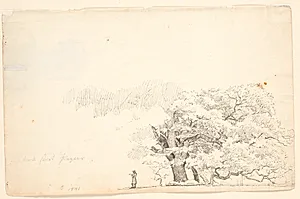 Store egetræer, t.v. en læsende mand. by P.C. Skovgaard