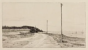 Strandvejen ved Hornbæksplantagen by Carl Bloch