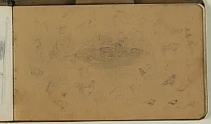 Studie af ænder by Niels Larsen Stevns