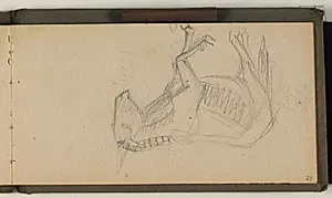 Studie af æsel by Niels Larsen Stevns