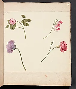 Studie af blomster by Johanna Fosie