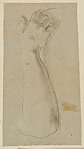 Studie af en arm by Lorenzo Masucci