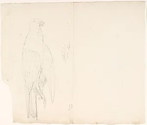 Studie af en due by Lorenz Frølich